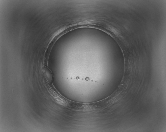 X0000052611308200507011217