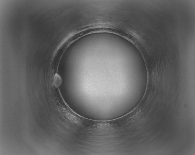 X0000052611310200507011217