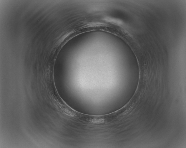 X0000052611313200507011217