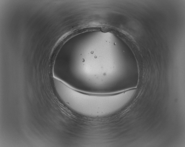 X0000052611314200507011217