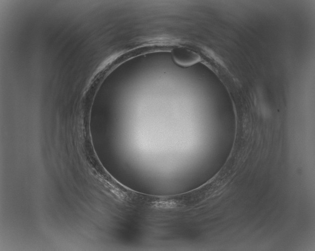 X0000052611315200507011217