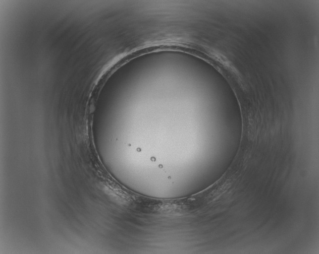 X0000052611316200507011217