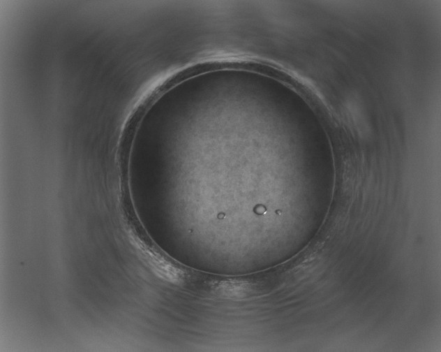 X0000052611319200507011217