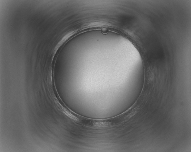 X0000052611322200507011217