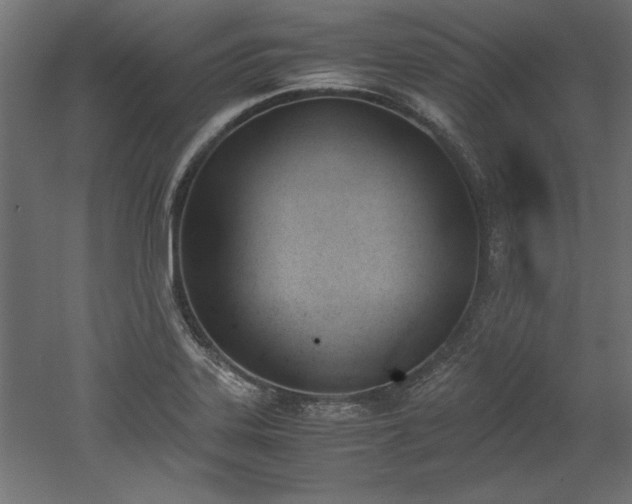 X0000052611323200507011217