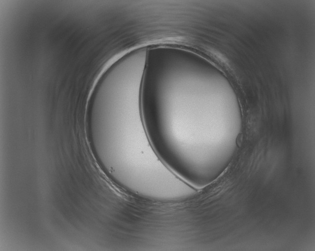 X0000052611324200507011217