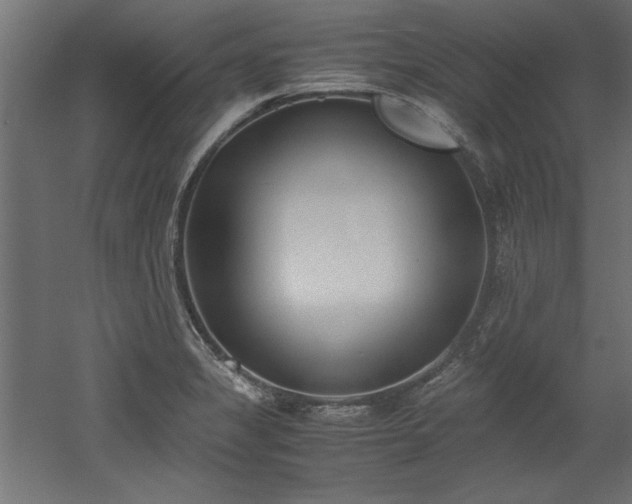 X0000052611325200507011217