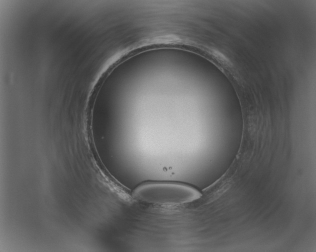 X0000052611326200507011217