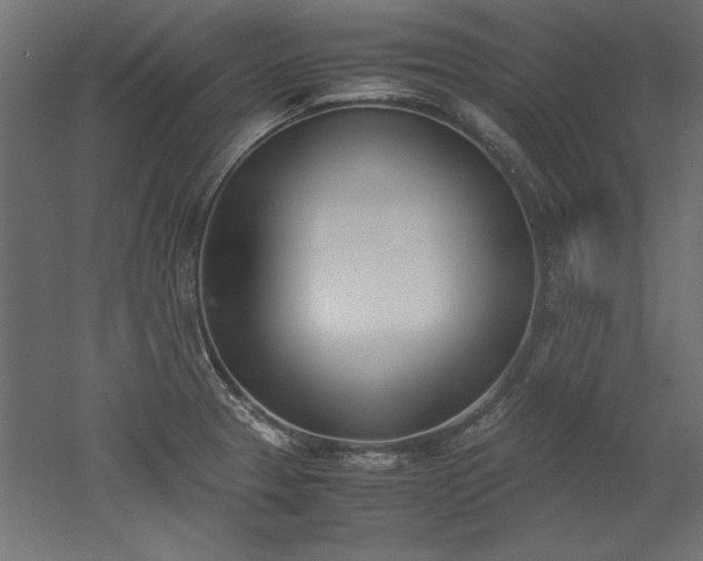 X0000052611329200507011217