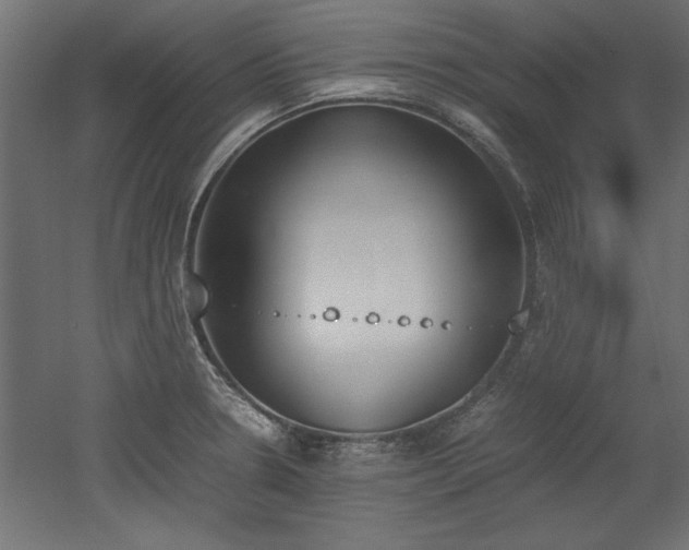 X0000052611330200507011217