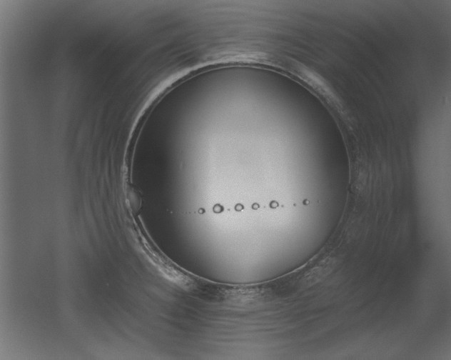 X0000052611332200507011217