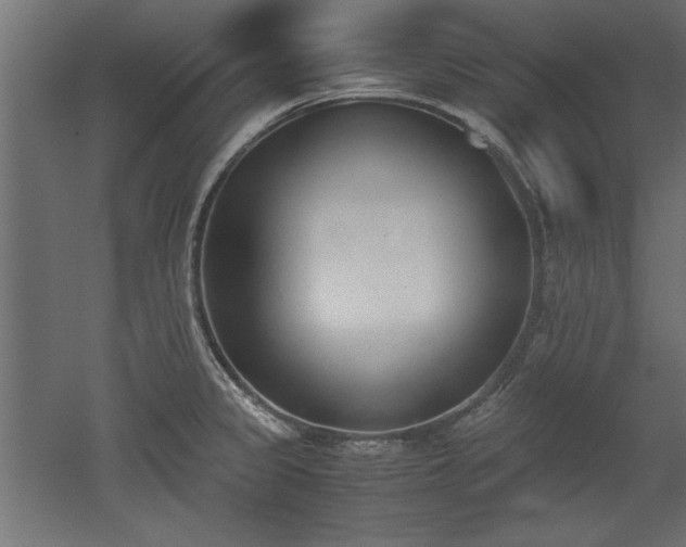 X0000052611333200507011217