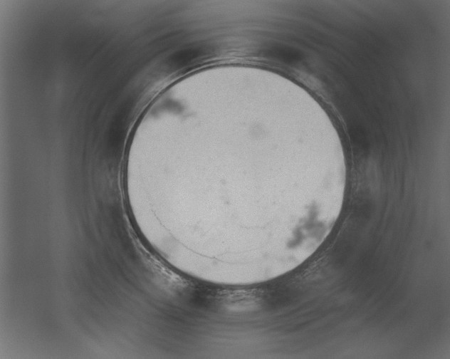 X0000052611338200507011217