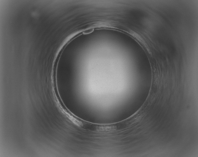 X0000052611339200507011217