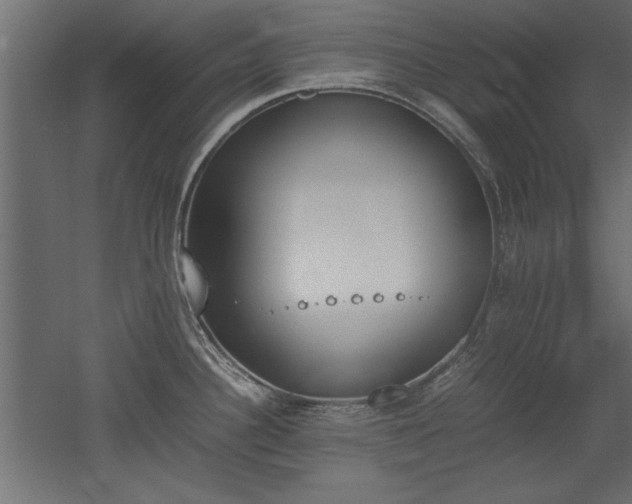 X0000052611340200507011217