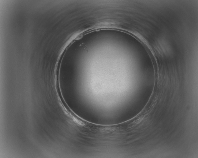 X0000052611341200507011217