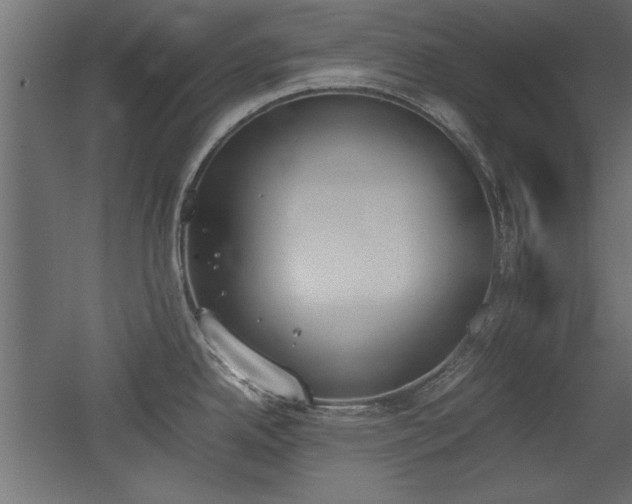 X0000052611342200507011217