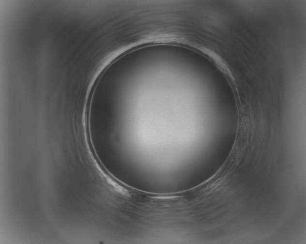 X0000052611343200507011217