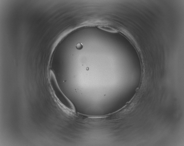 X0000052611344200507011217