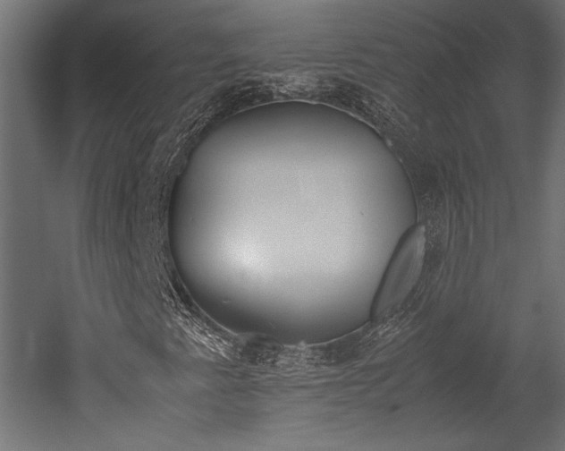 X0000052611345200507011216