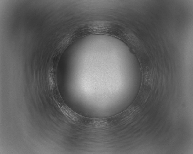 X0000052611346200507011216