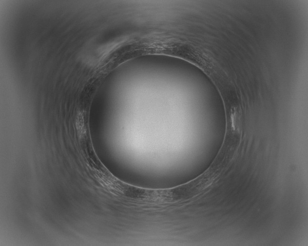 X0000052611347200507011216