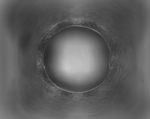 X0000052611349200507011216