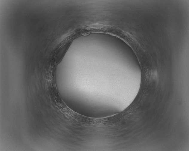 X0000052611350200507011216