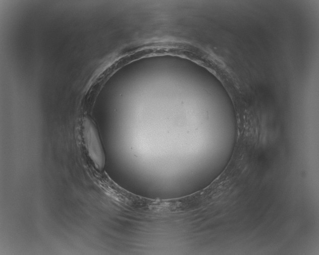 X0000052611352200507011216