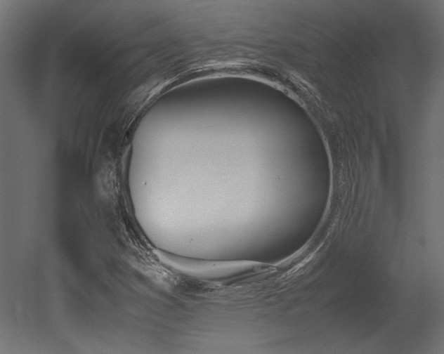 X0000052611353200507011216