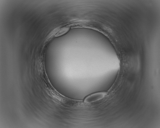 X0000052611354200507011216