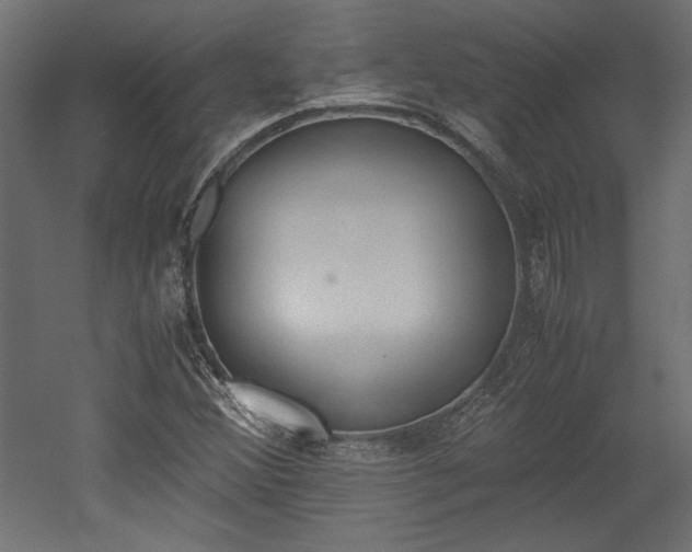 X0000052611356200507011216