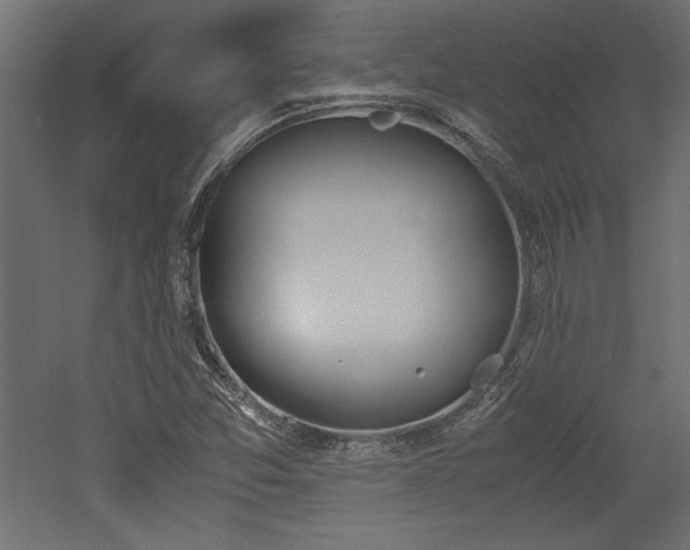 X0000052611357200507011216