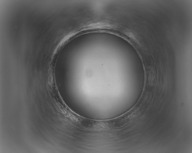 X0000052611358200507011216