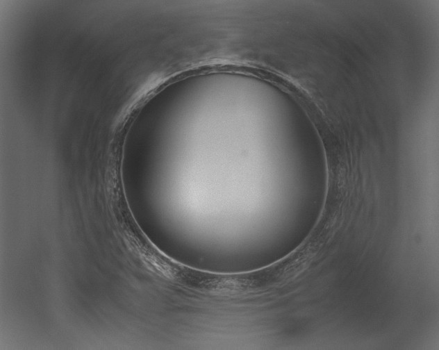 X0000052611359200507011216