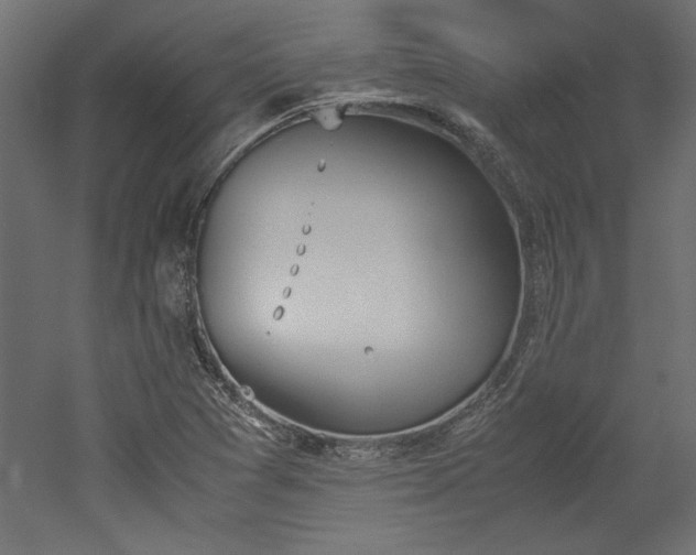 X0000052611361200507011216