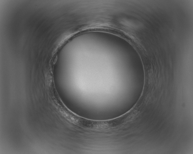 X0000052611363200507011216