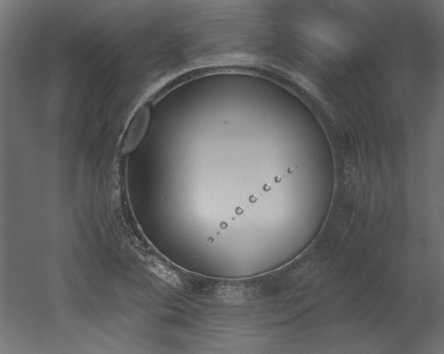 X0000052611364200507011216