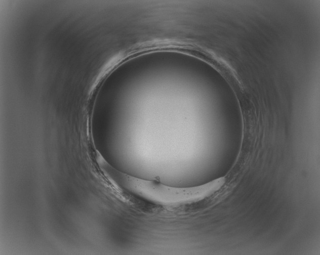 X0000052611365200507011216