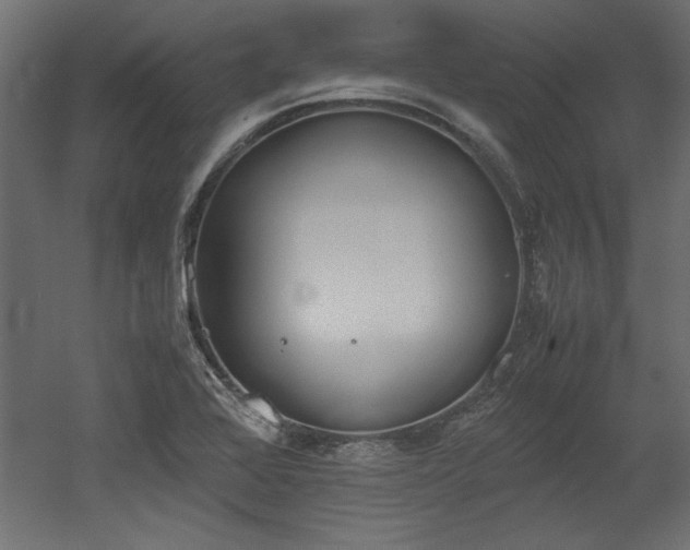 X0000052611368200507011216