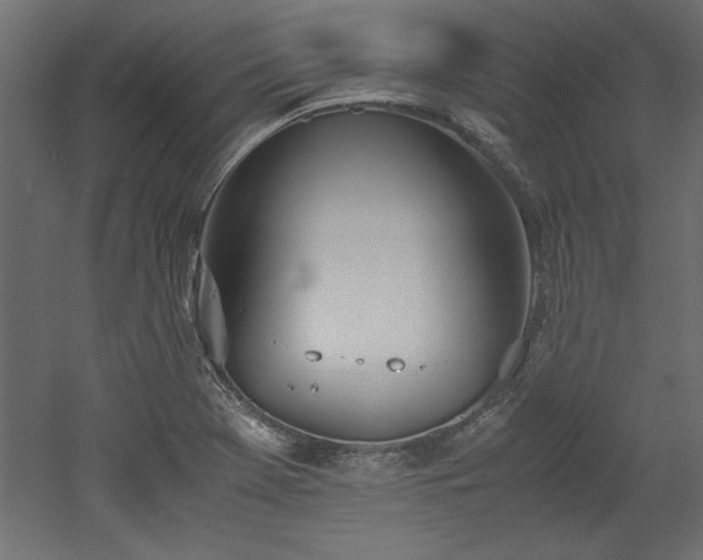 X0000052611369200507011216