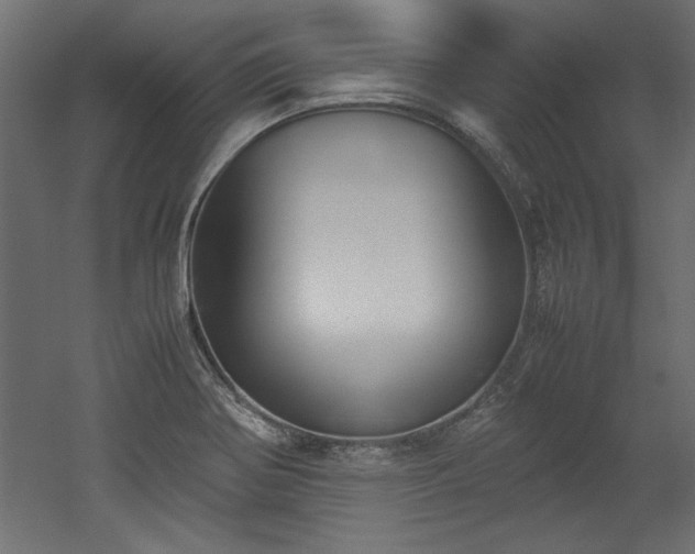 X0000052611370200507011216