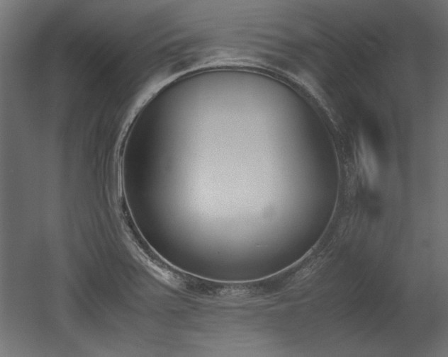 X0000052611371200507011216