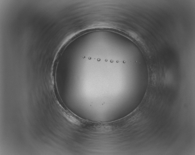 X0000052611372200507011216