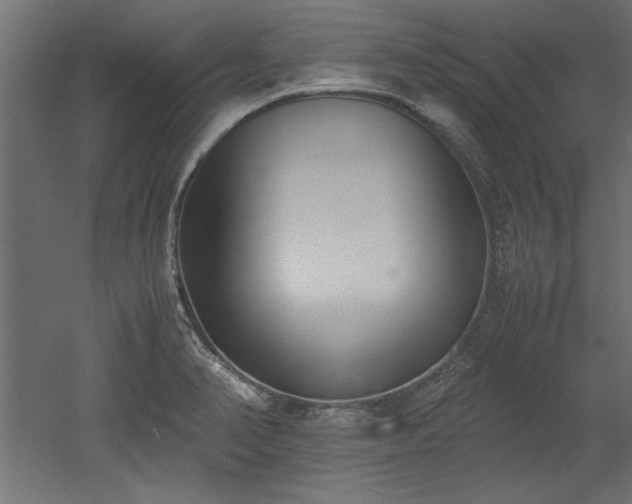 X0000052611374200507011216