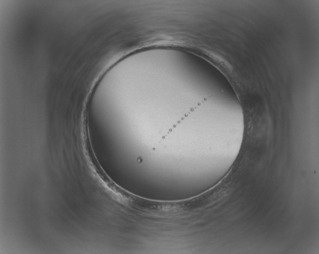 X0000052611375200507011216