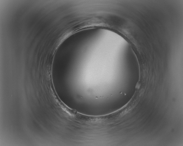 X0000052611377200507011216