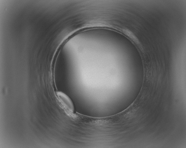 X0000052611380200507011216