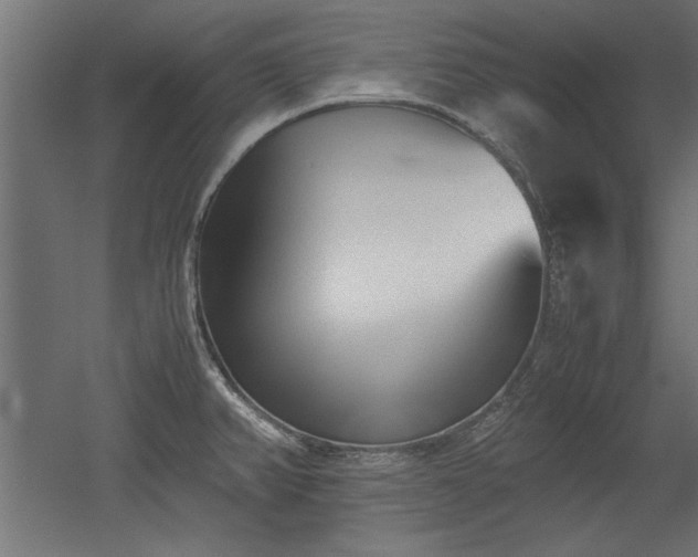 X0000052611382200507011216