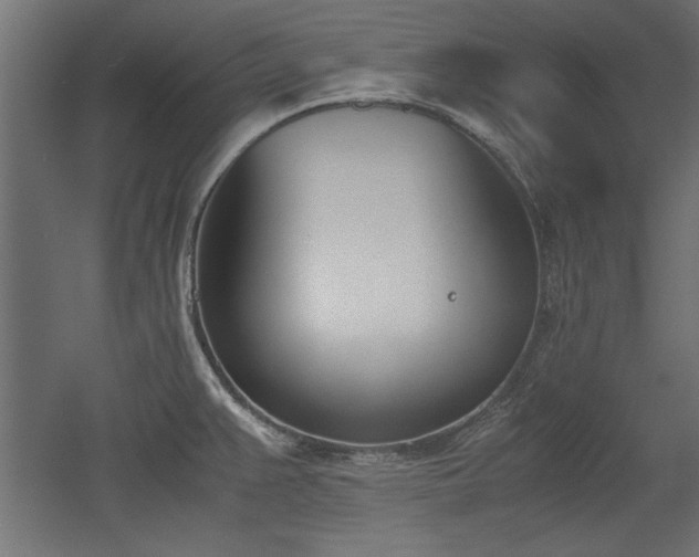 X0000052611383200507011216